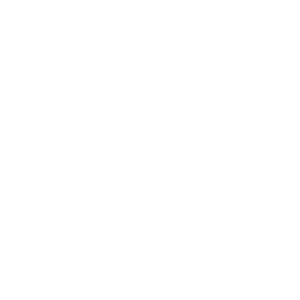 1863