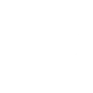 Boss