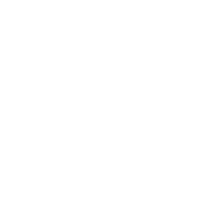 ROY ROBSON