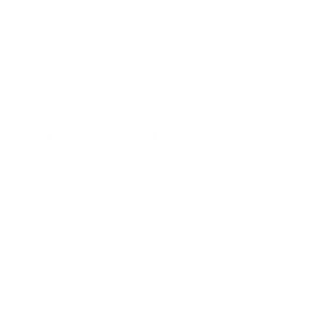 strellson